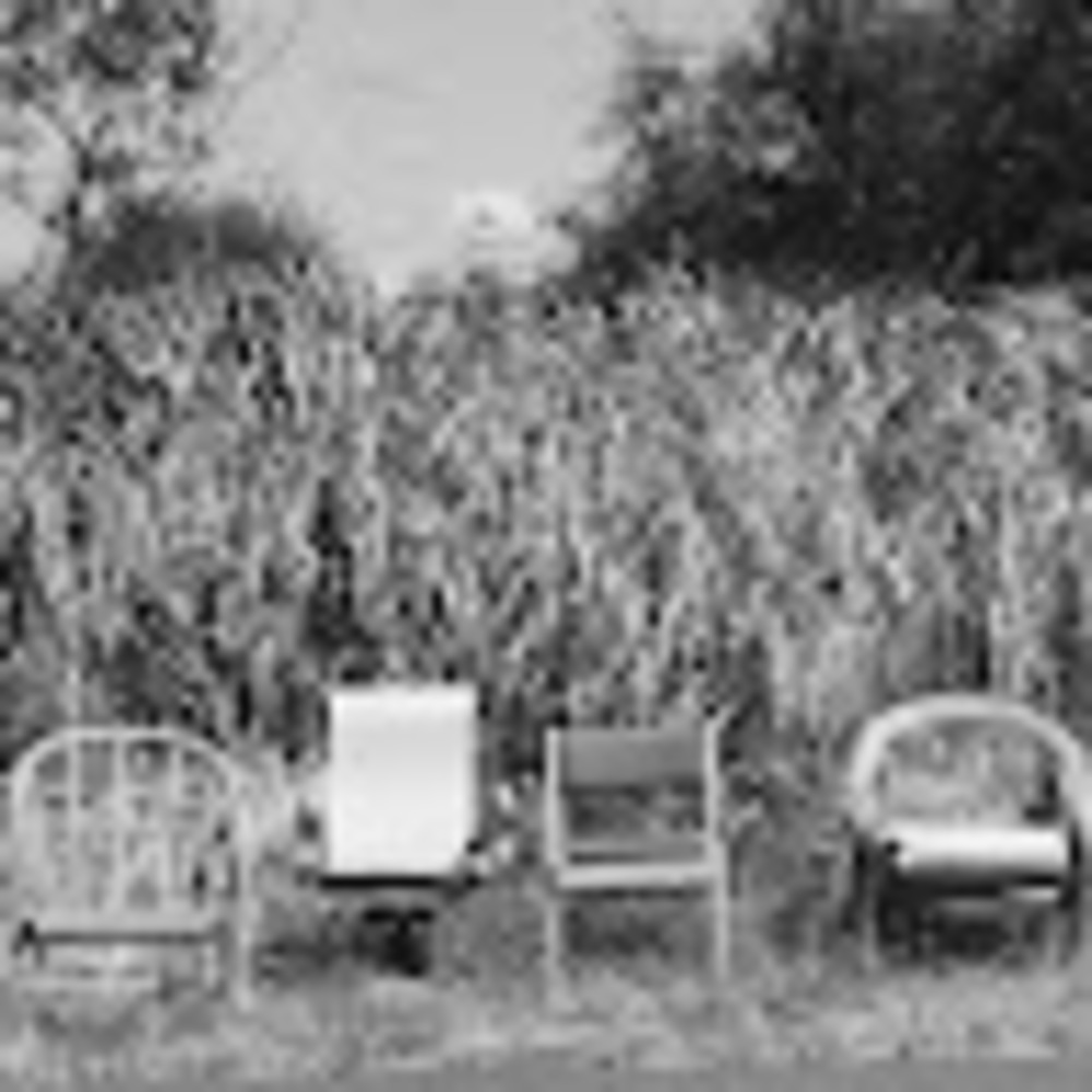 Meet your Posher, Jessie